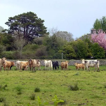 Rockfield House Ferienhaus Newtown (Galway)